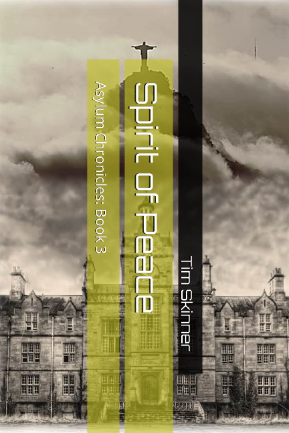Spirit of Peace: Asylum Chronicles: Book 3 poster