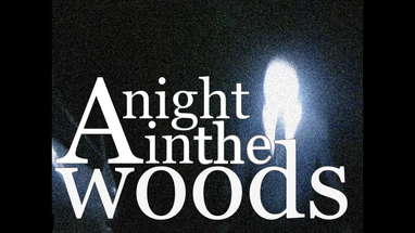 A Night in the Woods - Slender poster