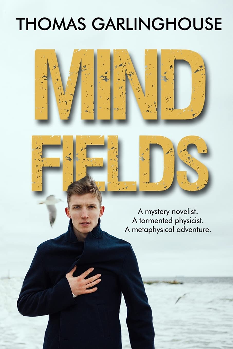 Mind Fields poster