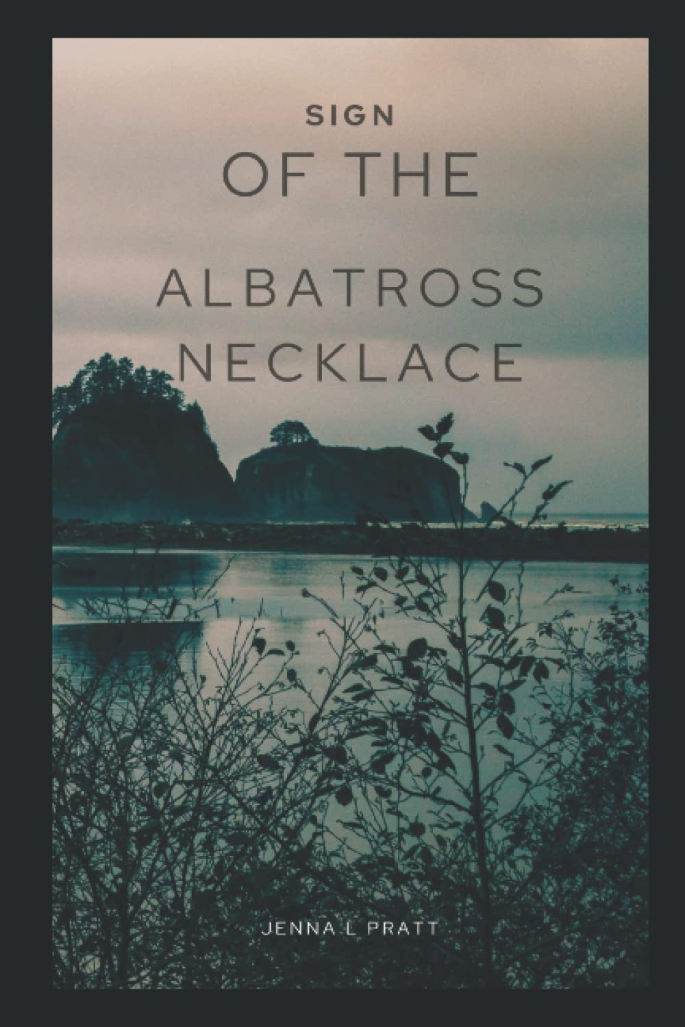 Sign of the Albatross Necklace poster