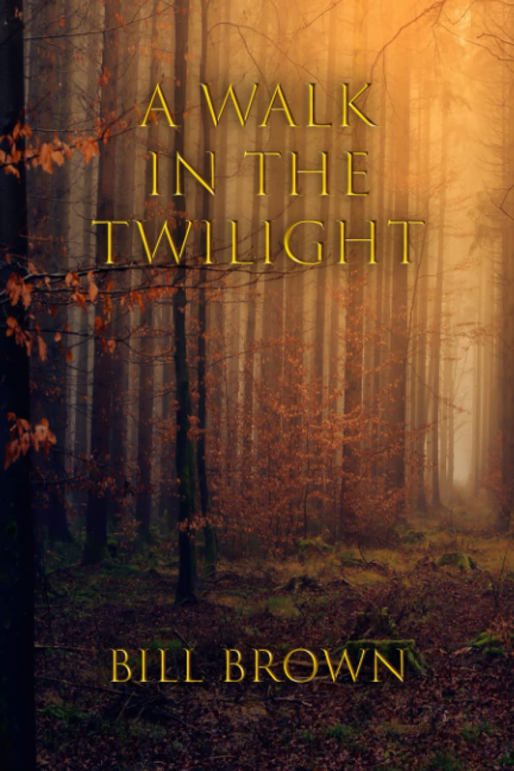 A Walk In The Twilight poster