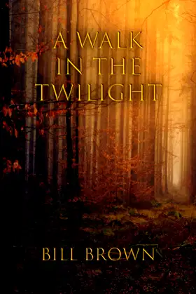 A Walk In The Twilight poster