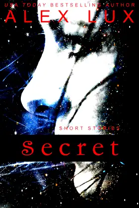Secret: Short Stories poster