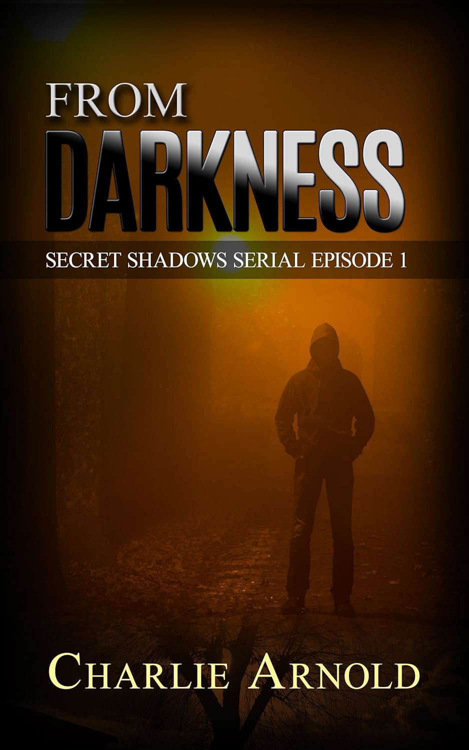 From Darkness: Episode 1 (Secret Shadows Serial) poster