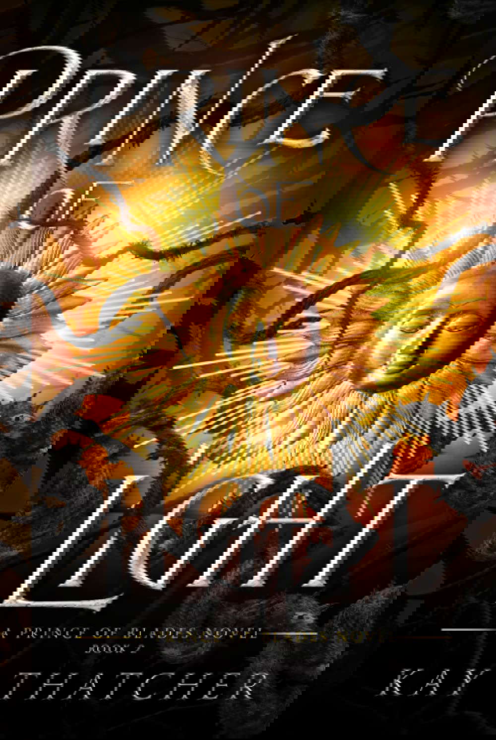 Prince of Light: A Prince of Blades Novel poster