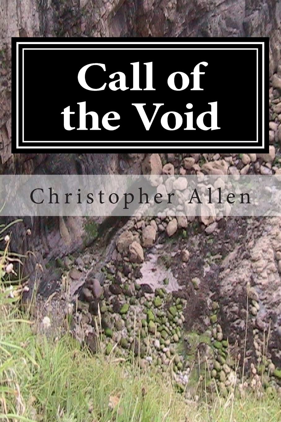 Call of the Void: The Strange Life and Times of a Confused Person poster