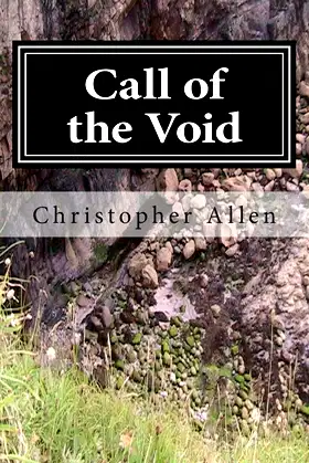 Call of the Void: The Strange Life and Times of a Confused Person poster