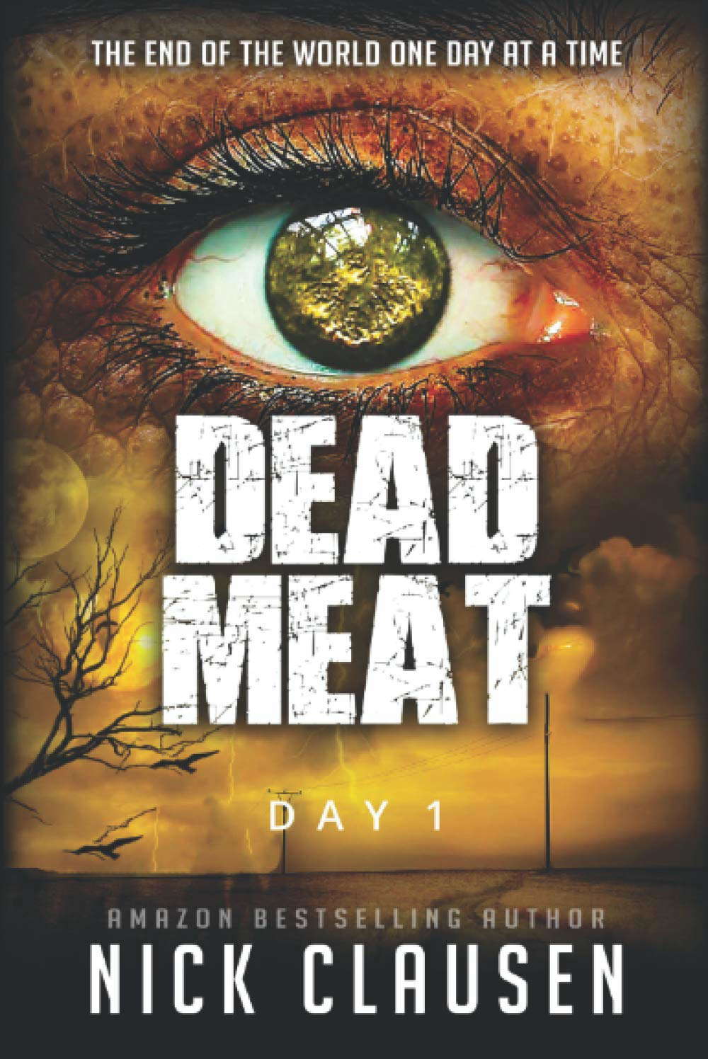 Dead Meat: Day 1 poster