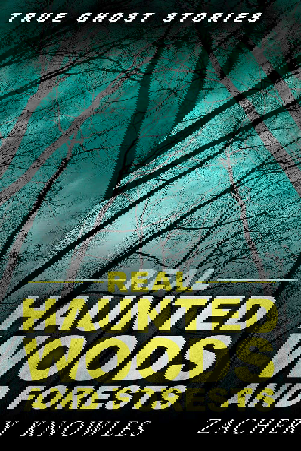 True Ghost Stories: Real Haunted Woods and Forests poster