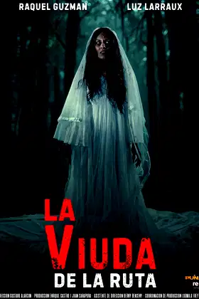 The Widow of the Road poster