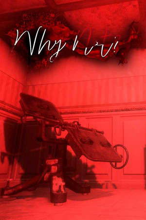 Why Not? poster