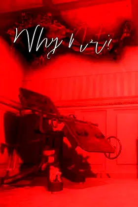 Why Not? poster
