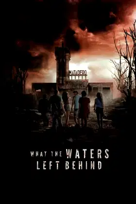 What the Waters Left Behind poster