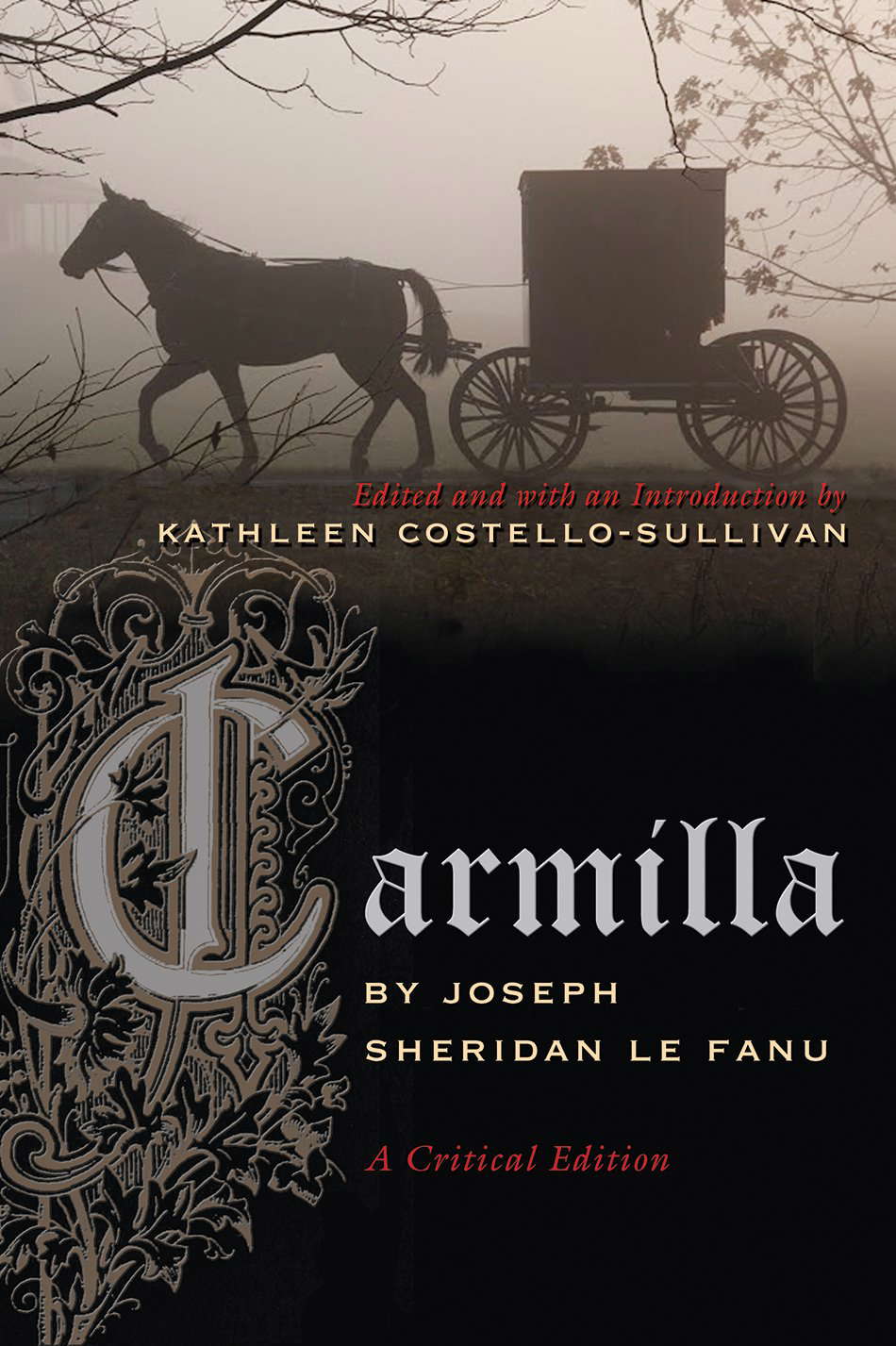 Carmilla: A Critical Edition (Irish Studies) poster