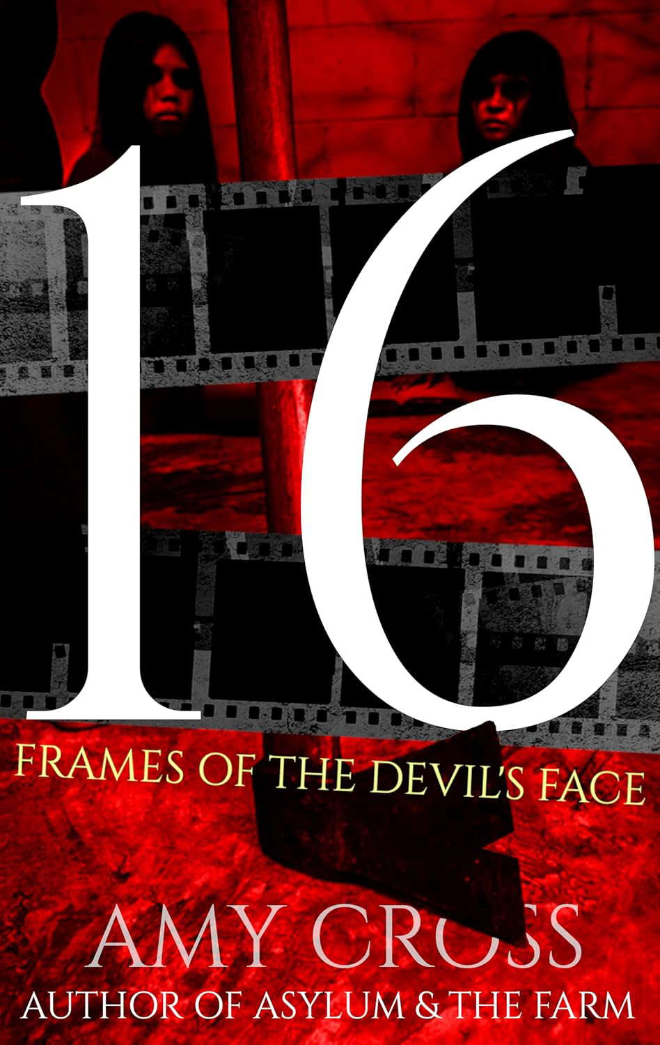 16 Frames of the Devil's Face poster