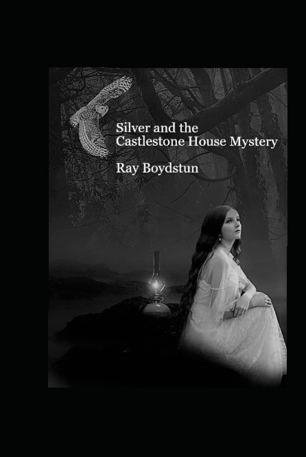 Silver and the Castlestone House Mystery poster