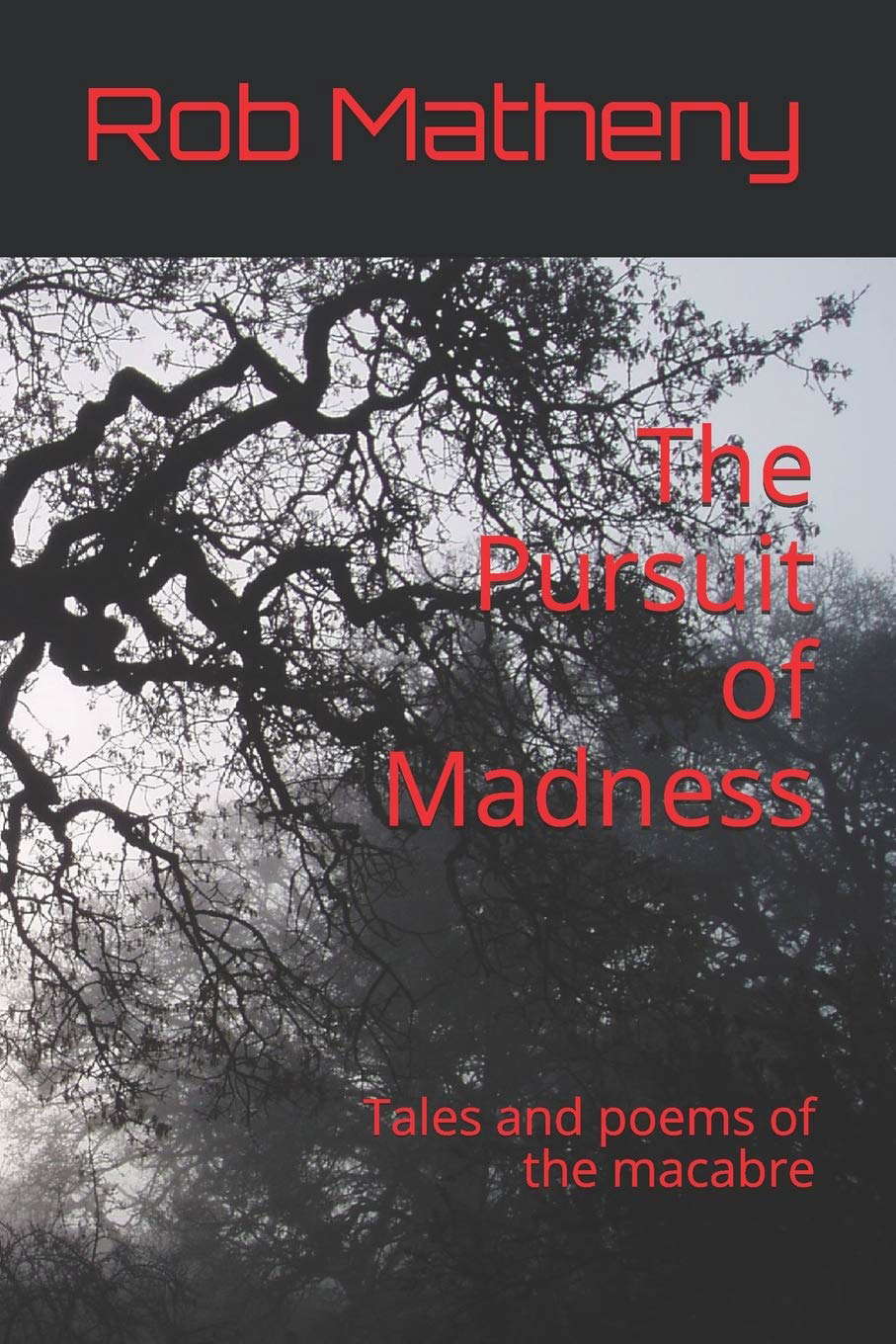 The Pursuit of Madness: Tales and poems of the macabre poster