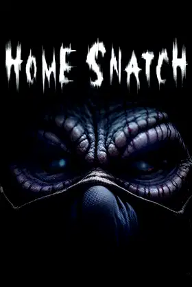 Home Snatch poster