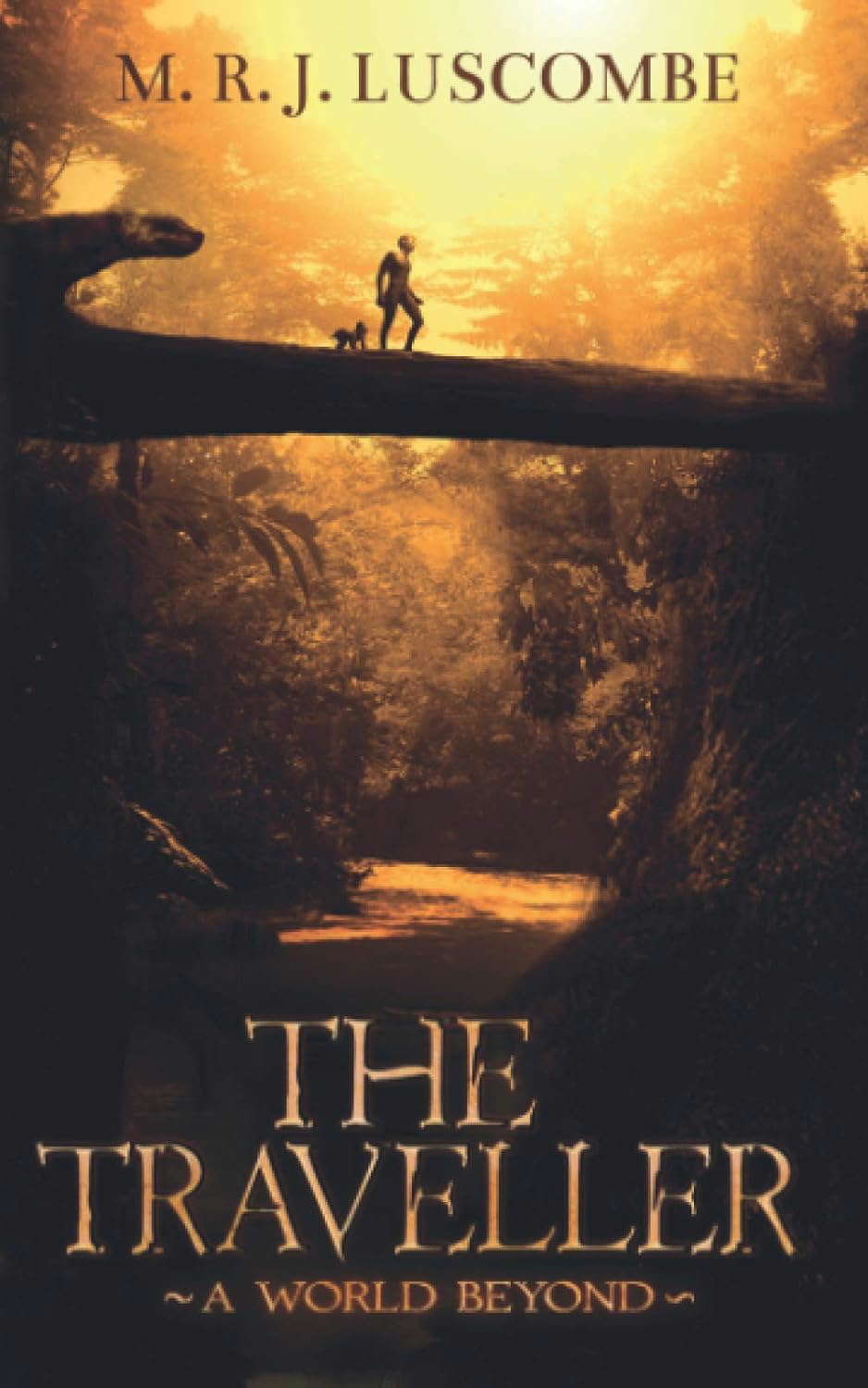The Traveller: A World Beyond poster