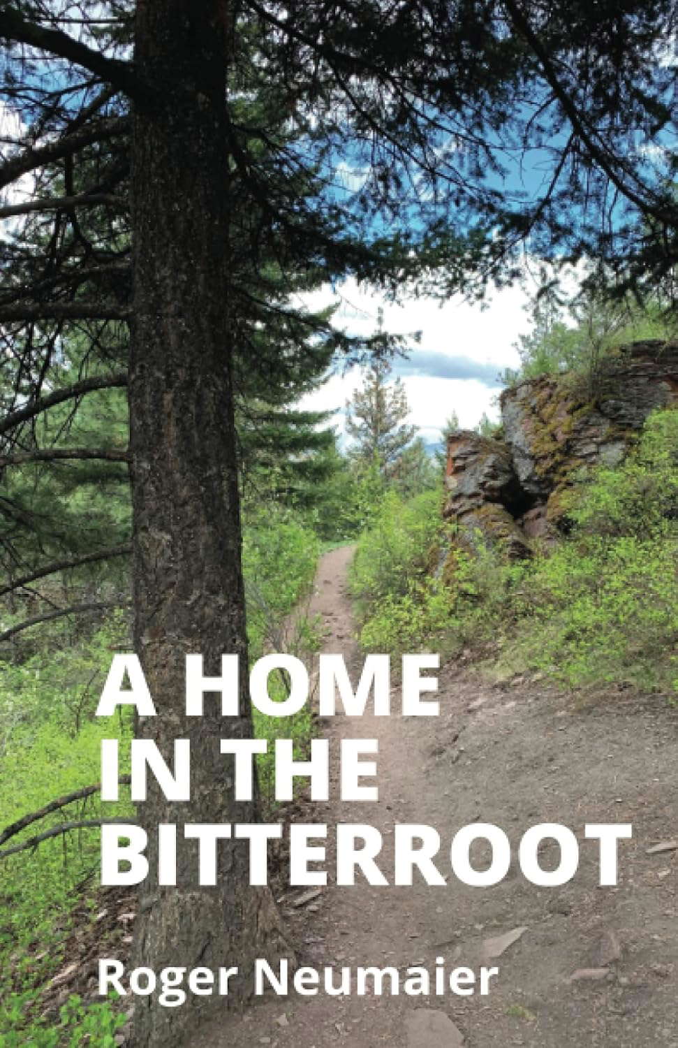 A Home in the Bitterroot poster