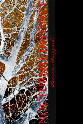 Nocturnal Instinct poster