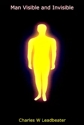 Man Visible and Invisible poster