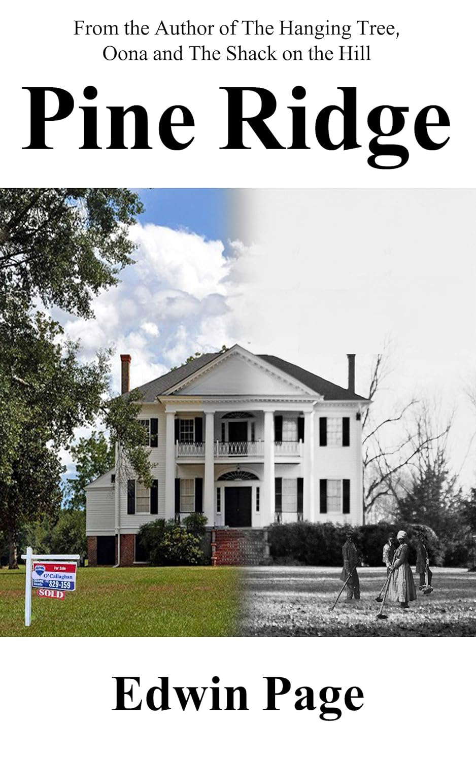 Pine Ridge poster