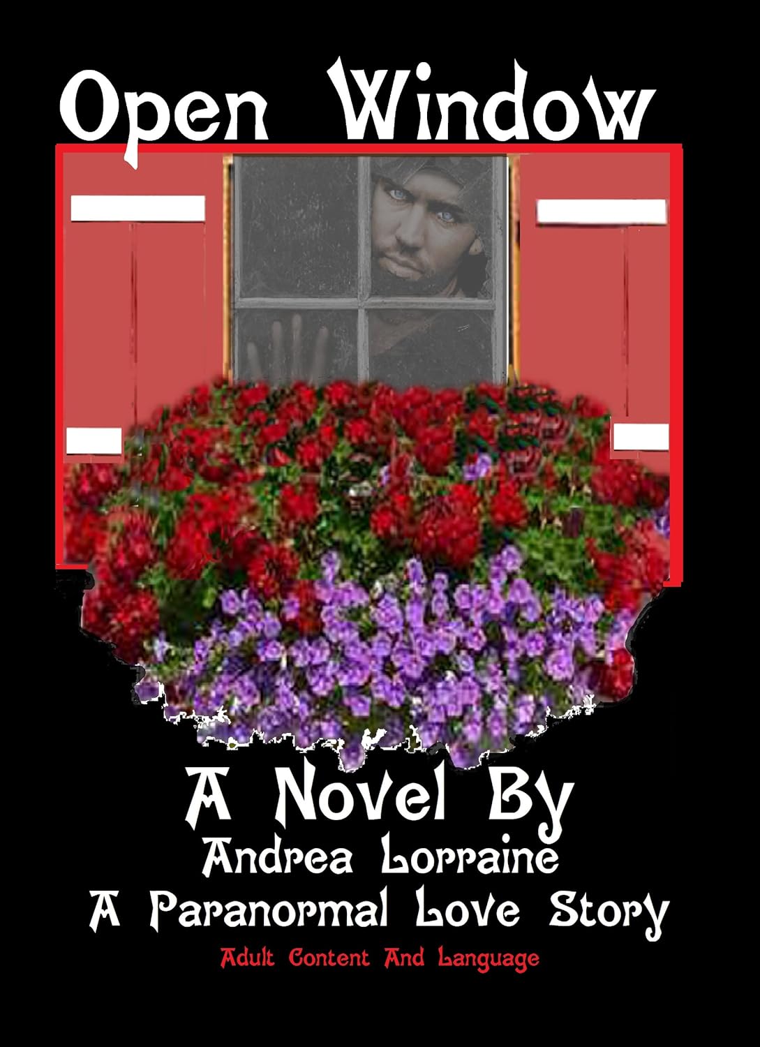Open Windows poster