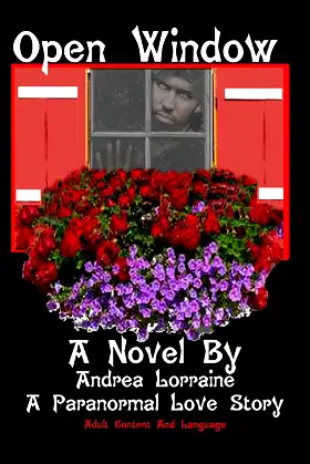 Open Windows poster
