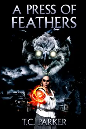A Press of Feathers poster