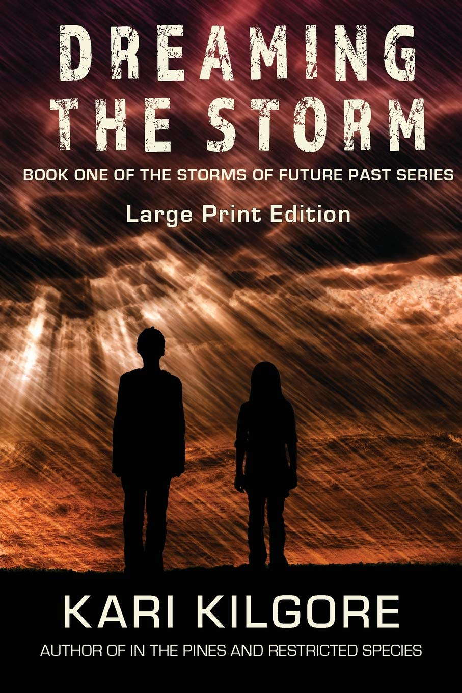 Dreaming the Storm (Storms of Future Past) poster
