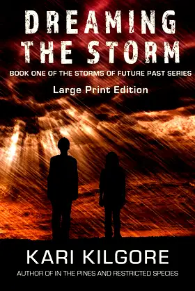 Dreaming the Storm (Storms of Future Past) poster