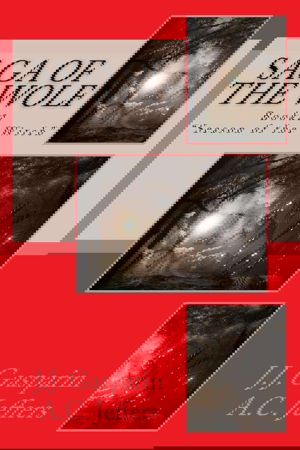 Saga Of The Wolf Book 2: Season of the Witch poster