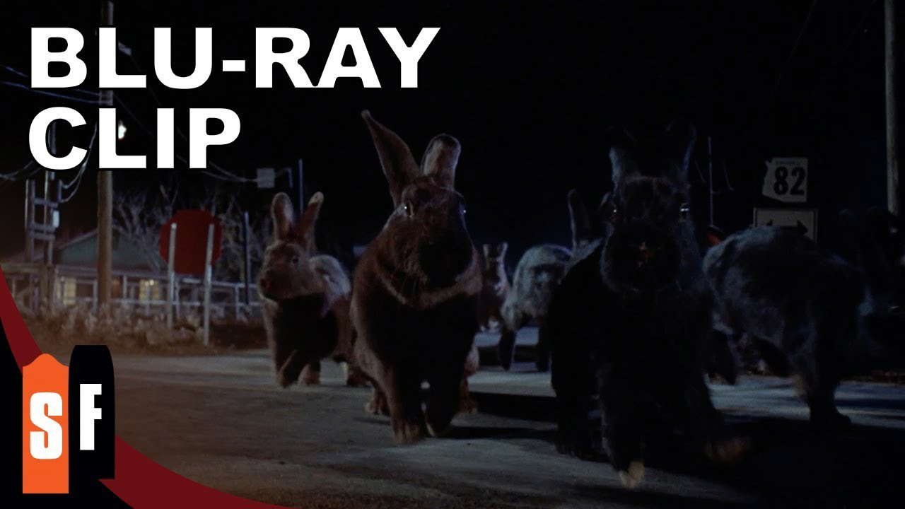 Lepus On The Move