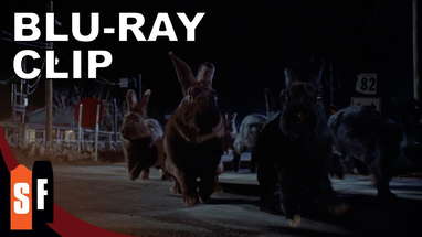 Lepus On The Move poster