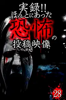 Actual Record! Real Horror Posted Video 28 poster