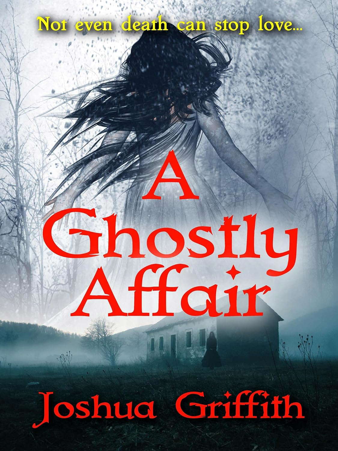 A Ghostly Affair: A paranormal romance poster