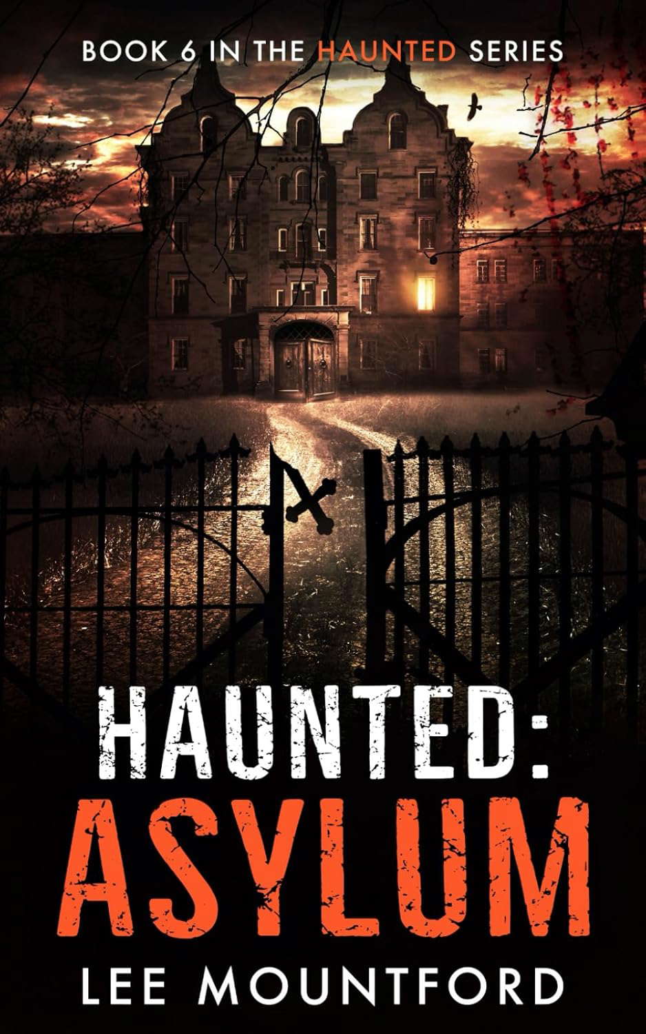 Haunted: Asylum poster