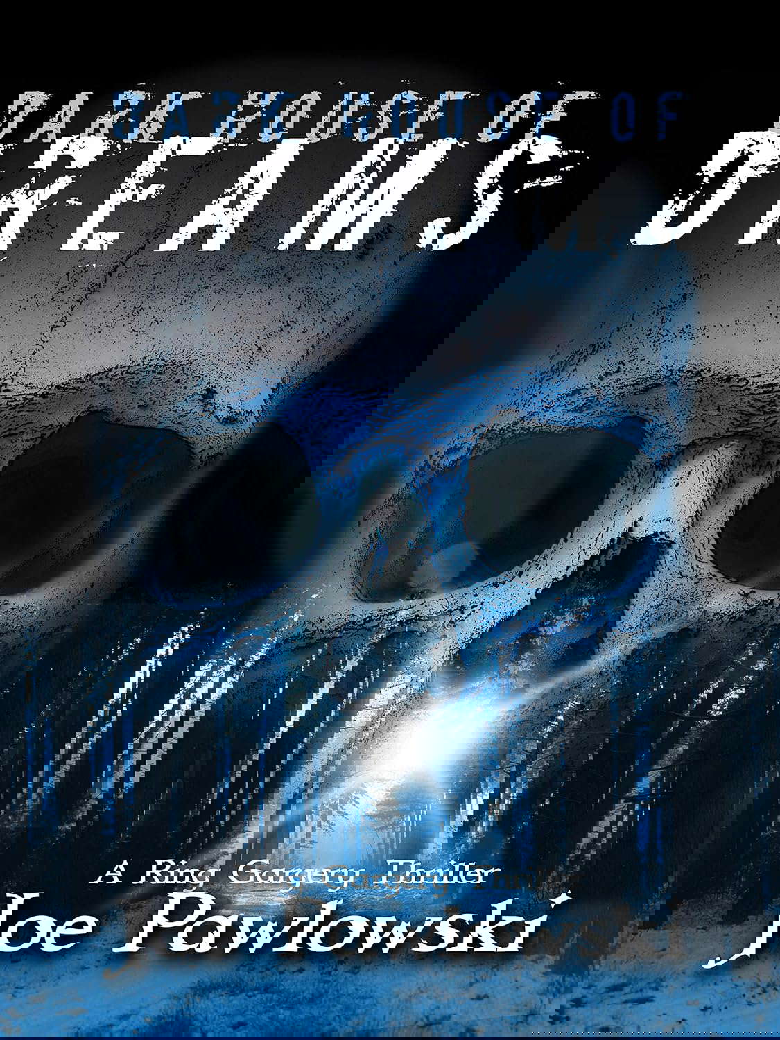 Dark House Of Dreams poster