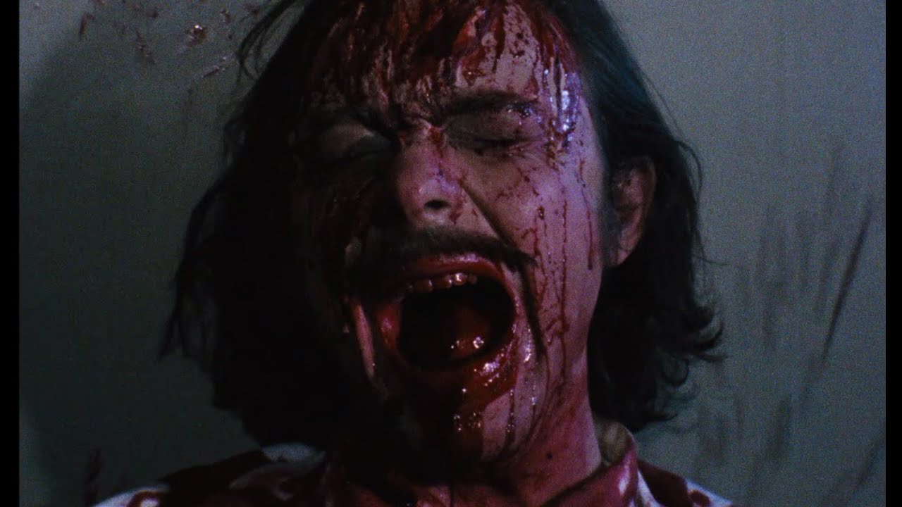 Arrow Video Selects - Basket Case by Louise Buckler