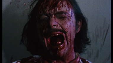 Arrow Video Selects - Basket Case by Louise Buckler poster