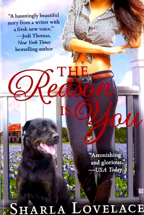 The Reason is You poster