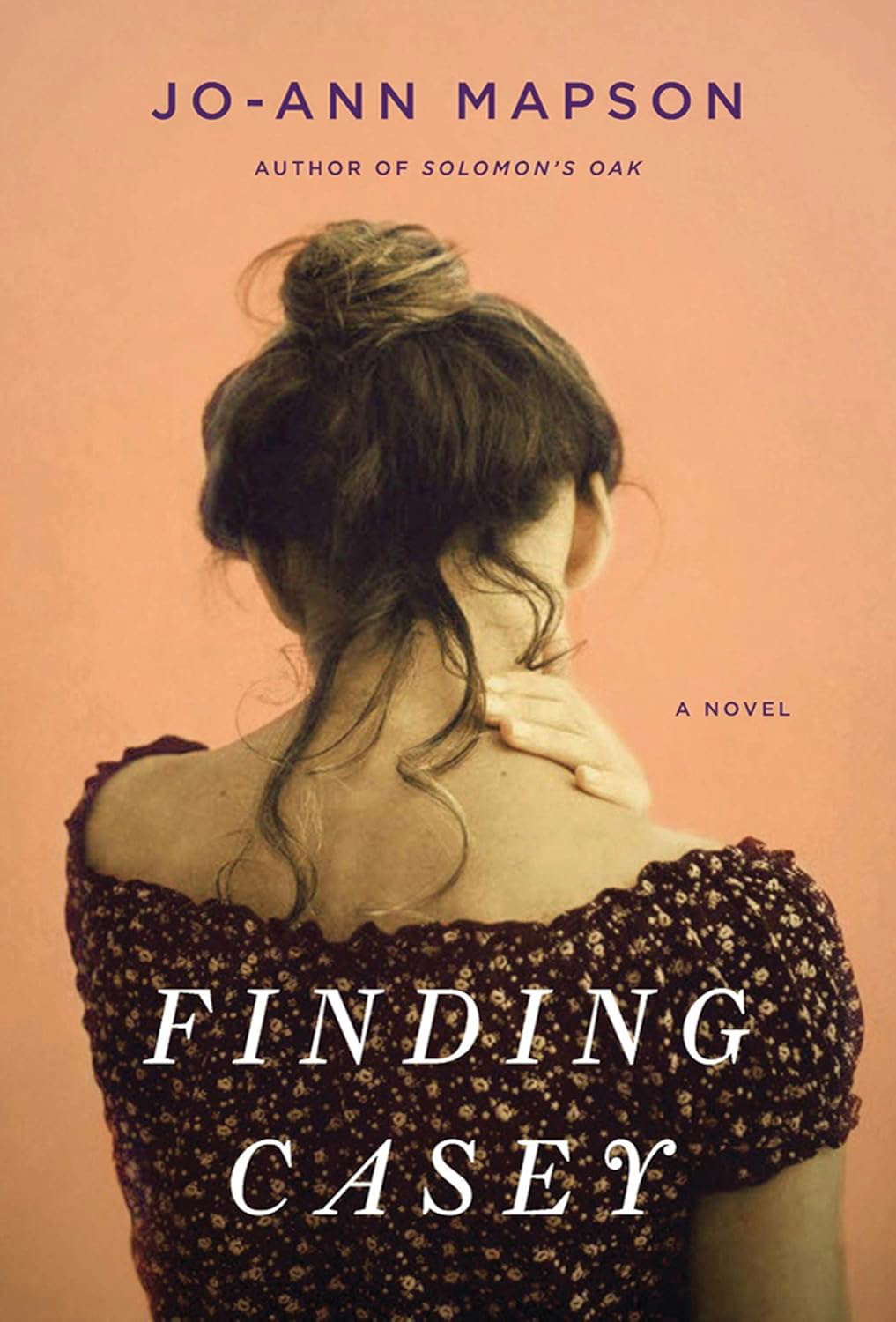 Finding Casey: A Novel poster