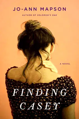 Finding Casey: A Novel poster