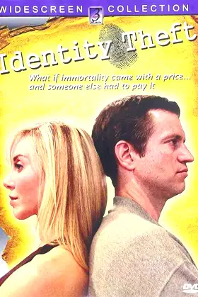 Identity Theft poster