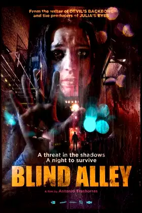Blind Alley poster