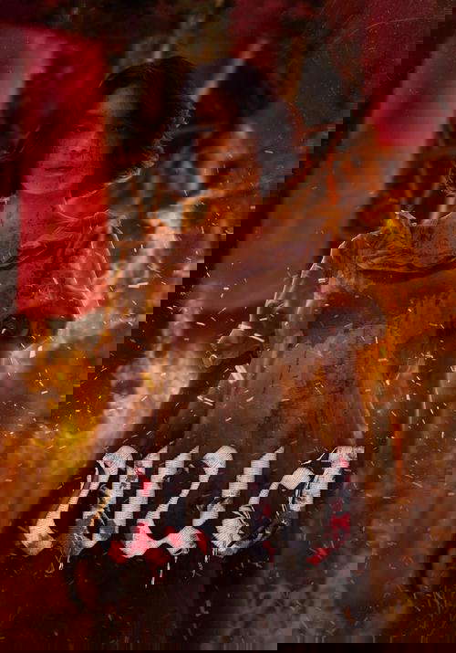 Panor poster