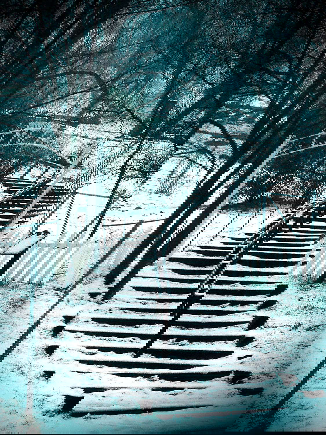 Julian poster