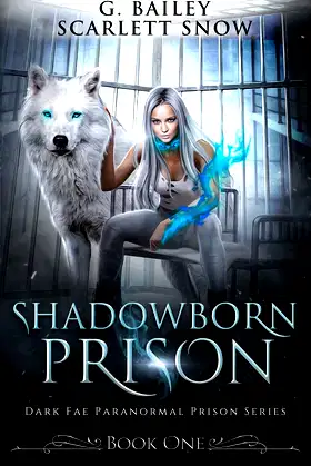 Shadowborn Prison (Dark Fae Academy Series) poster
