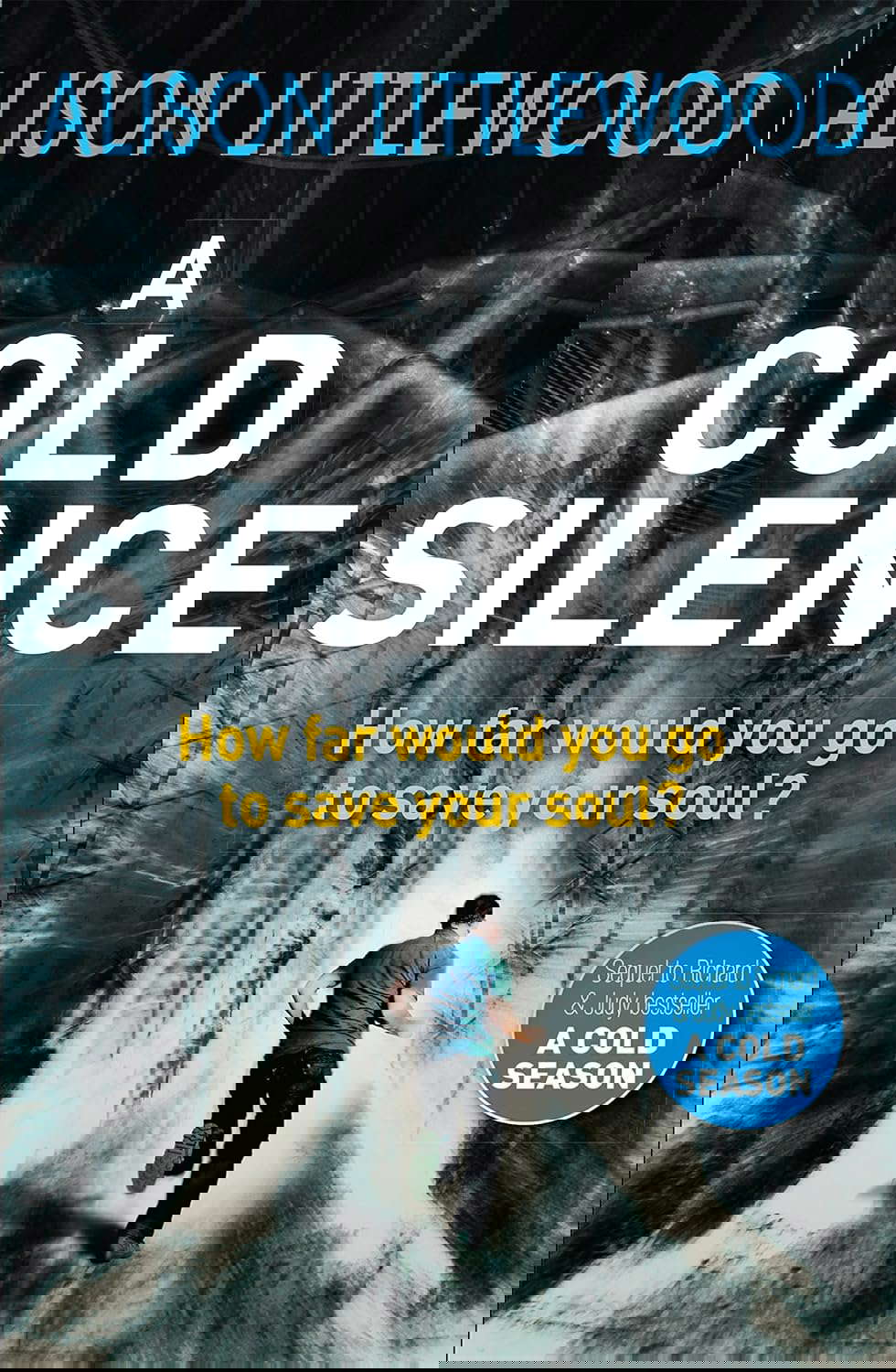 A Cold Silence: The Cold Book 2 poster